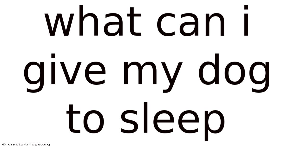 What Can I Give My Dog To Sleep
