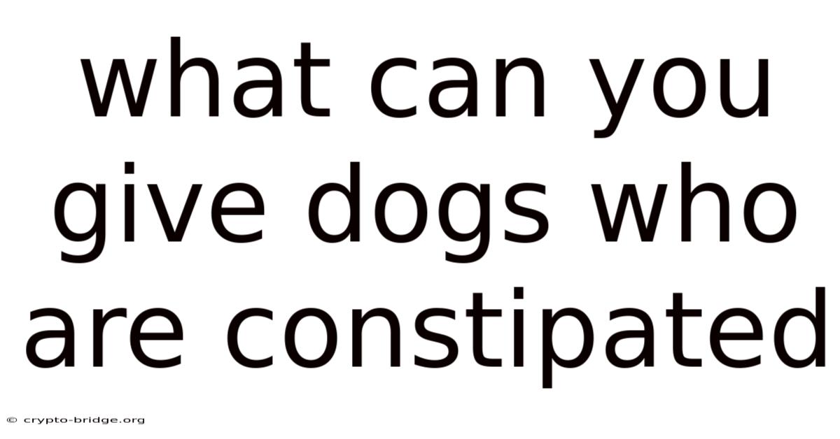 What Can You Give Dogs Who Are Constipated