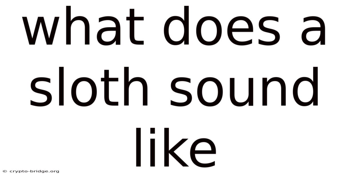 What Does A Sloth Sound Like
