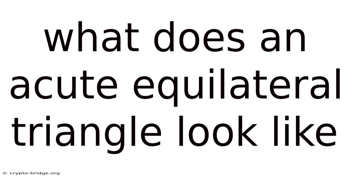 What Does An Acute Equilateral Triangle Look Like
