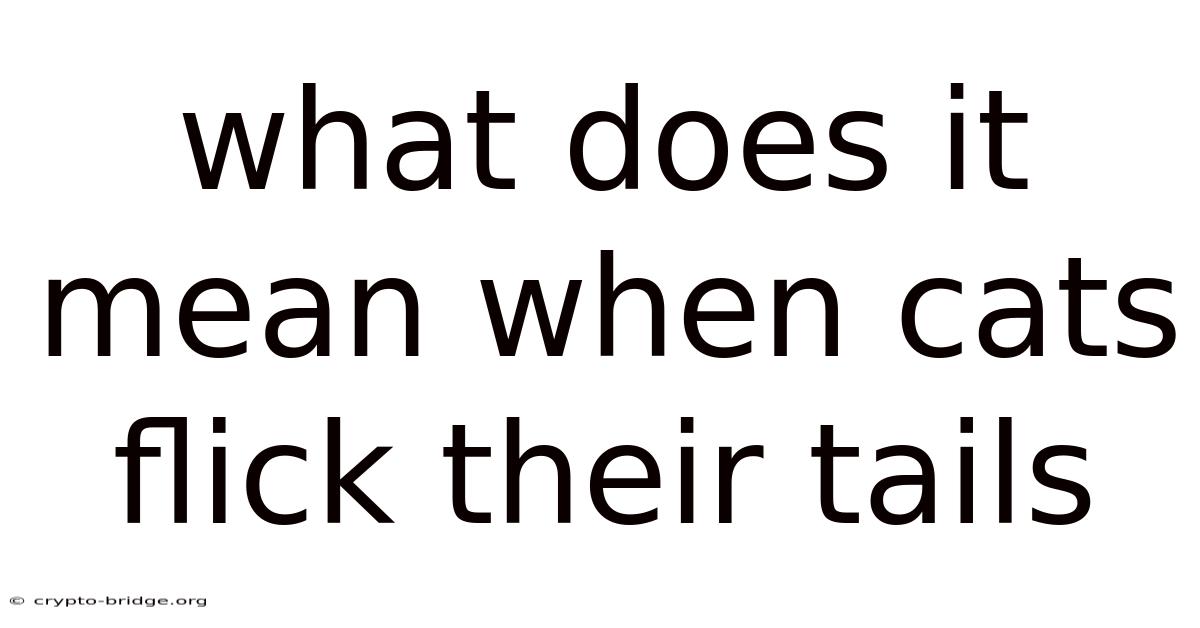 What Does It Mean When Cats Flick Their Tails