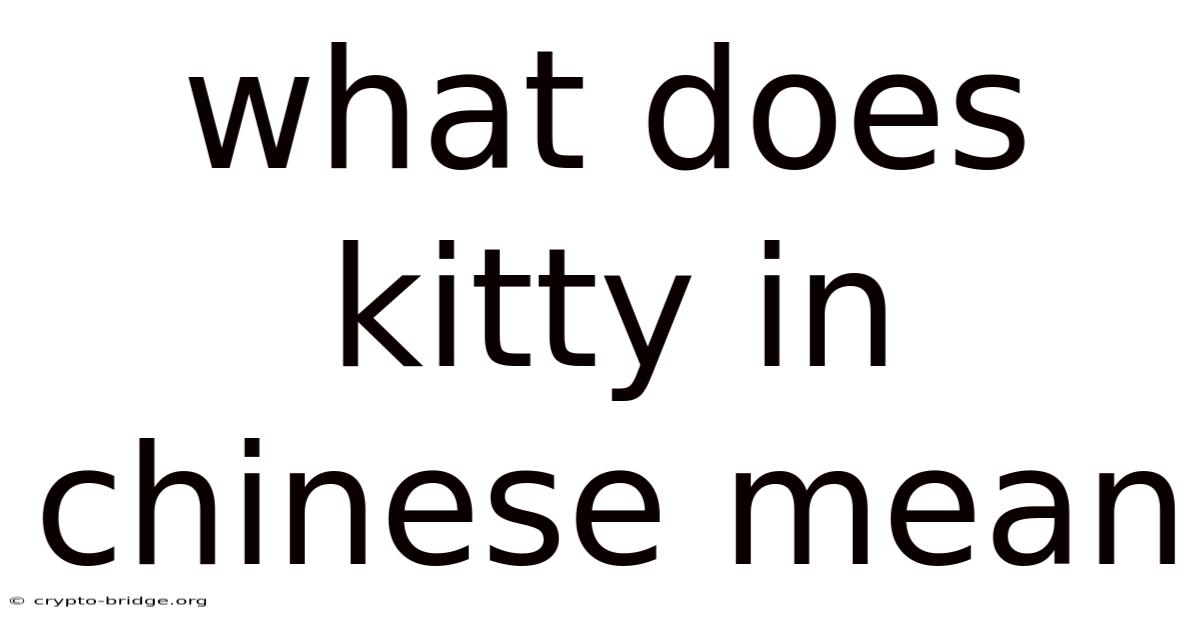 What Does Kitty In Chinese Mean
