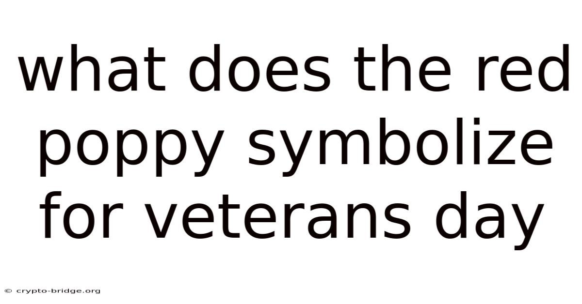 What Does The Red Poppy Symbolize For Veterans Day