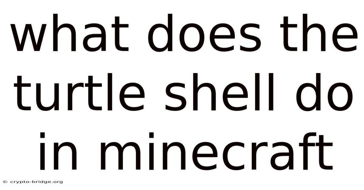 What Does The Turtle Shell Do In Minecraft