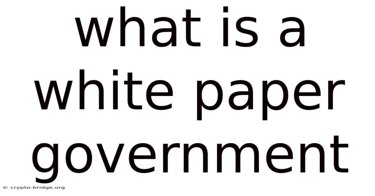 What Is A White Paper Government