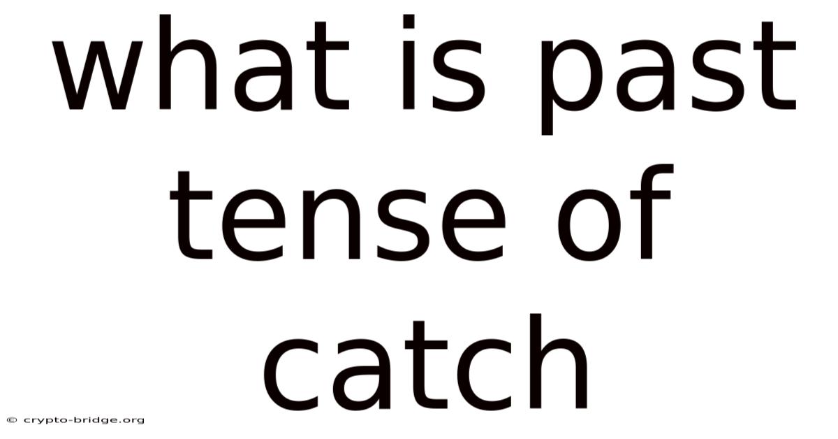 What Is Past Tense Of Catch