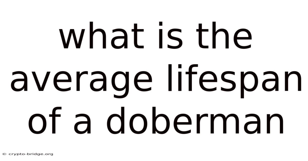 What Is The Average Lifespan Of A Doberman
