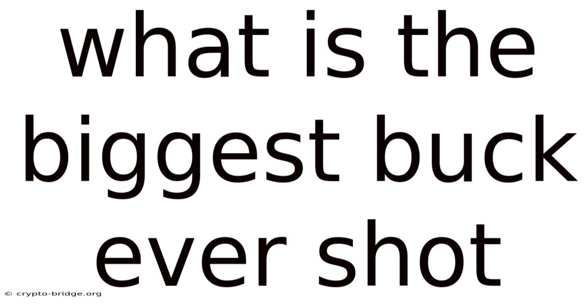 What Is The Biggest Buck Ever Shot