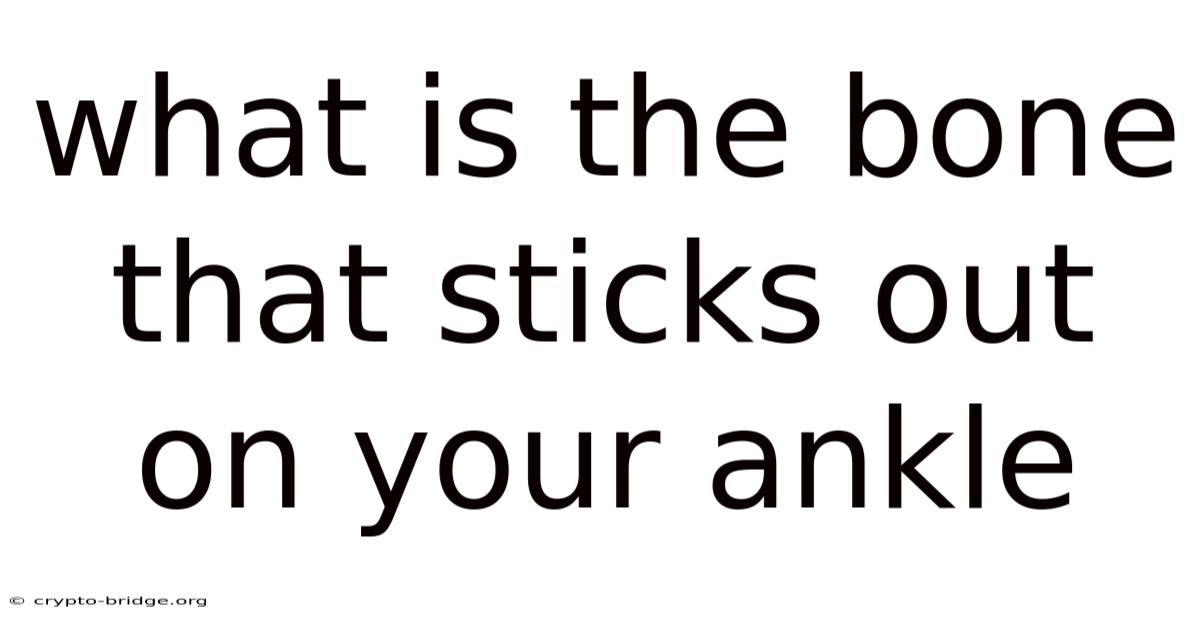 What Is The Bone That Sticks Out On Your Ankle