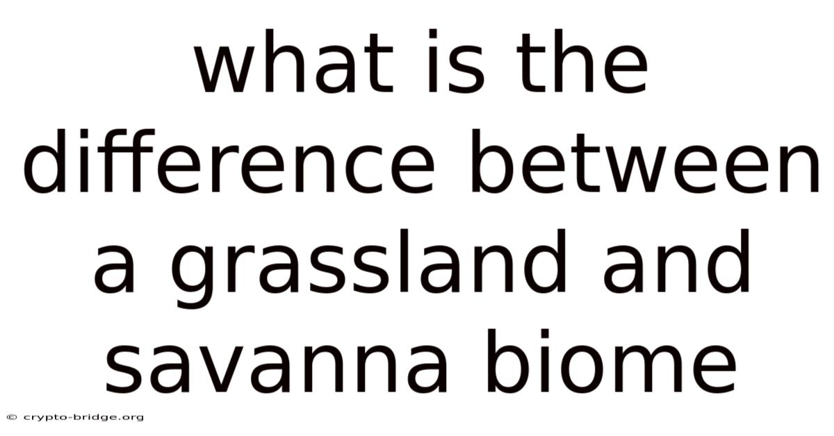 What Is The Difference Between A Grassland And Savanna Biome