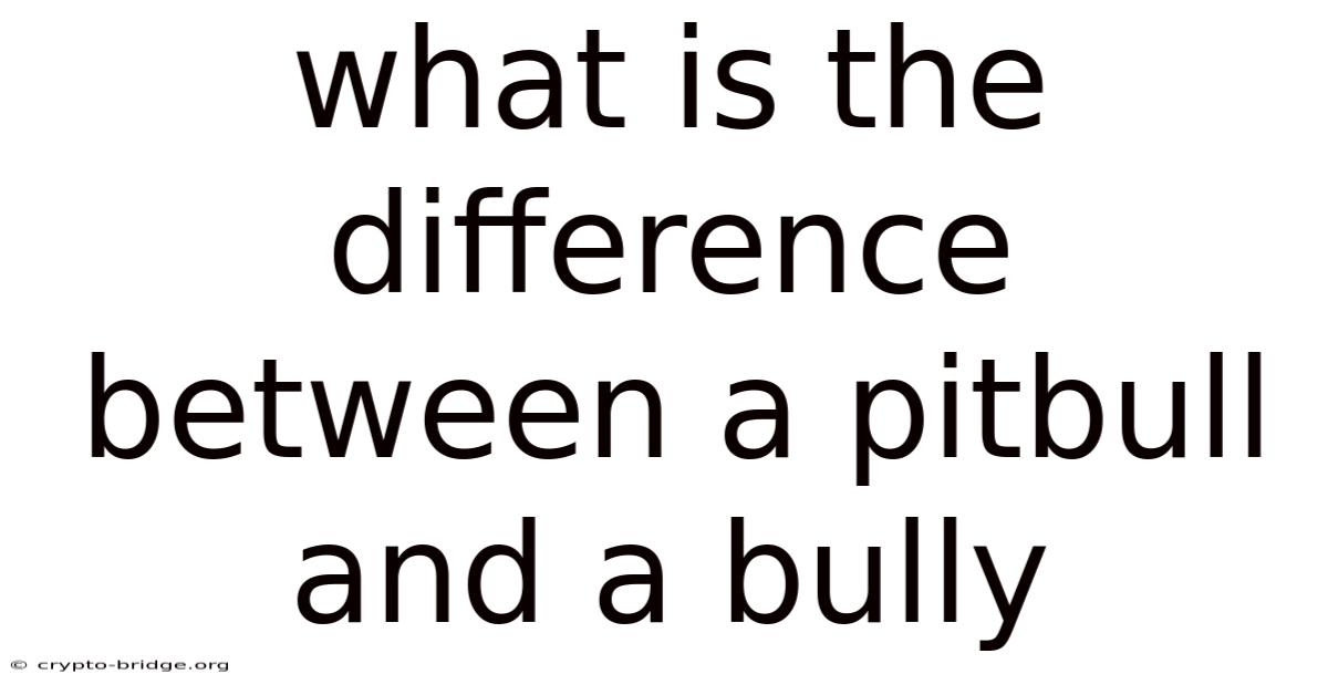 What Is The Difference Between A Pitbull And A Bully