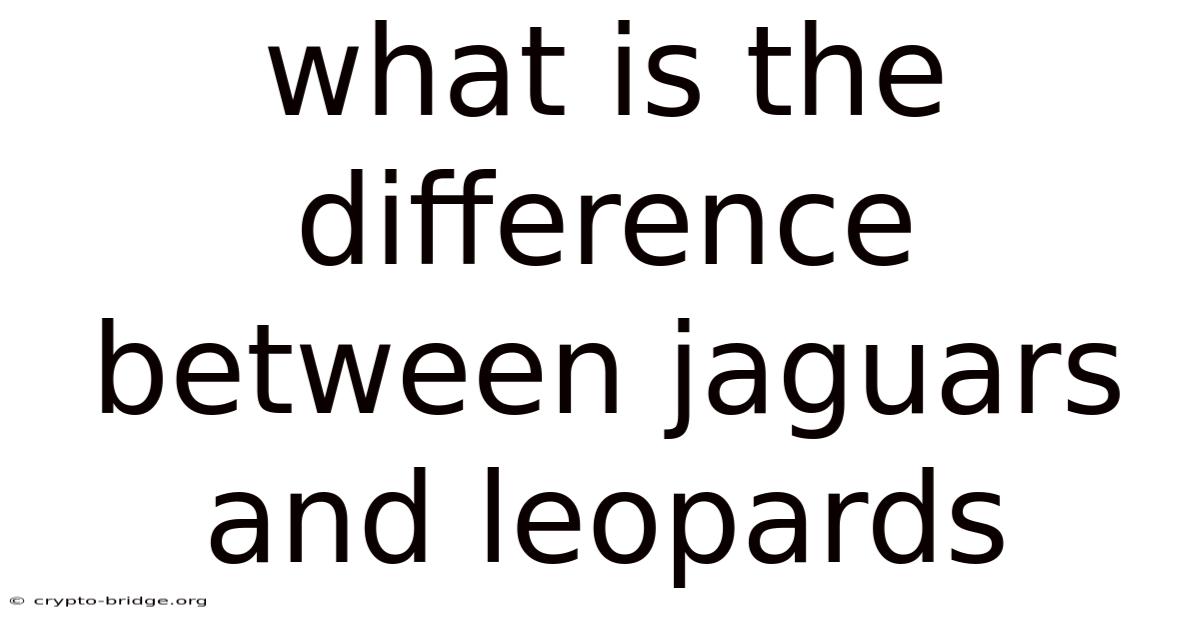 What Is The Difference Between Jaguars And Leopards