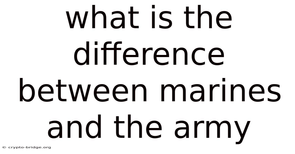 What Is The Difference Between Marines And The Army