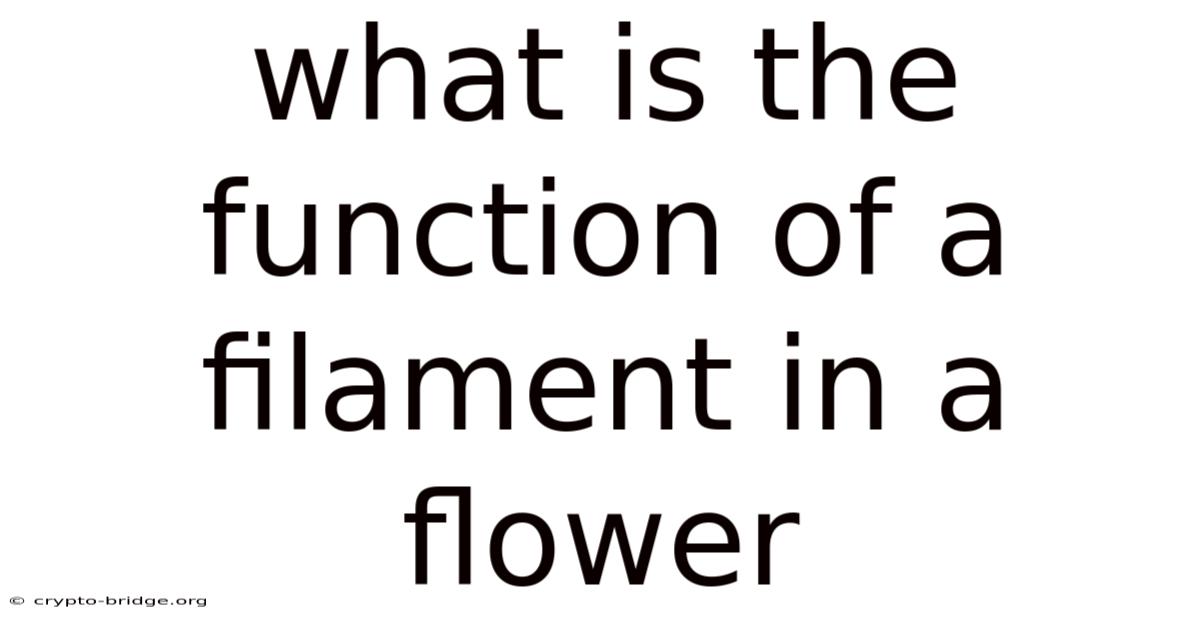 What Is The Function Of A Filament In A Flower