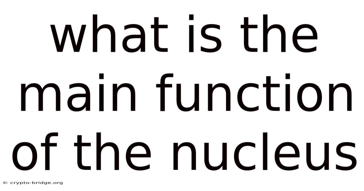 What Is The Main Function Of The Nucleus