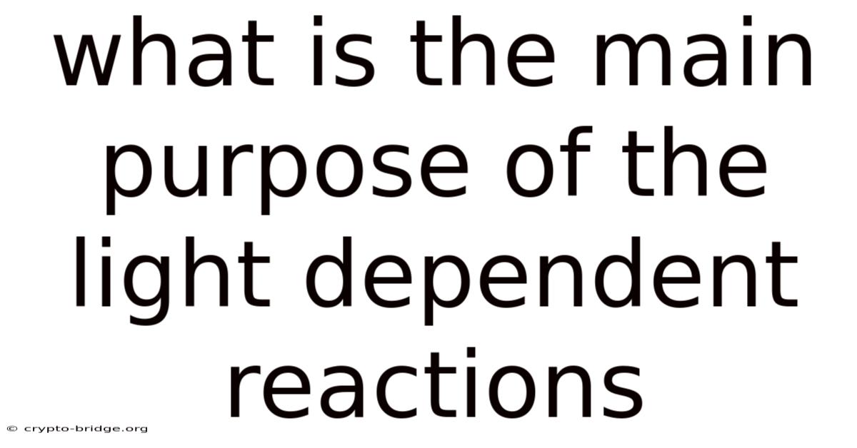 What Is The Main Purpose Of The Light Dependent Reactions