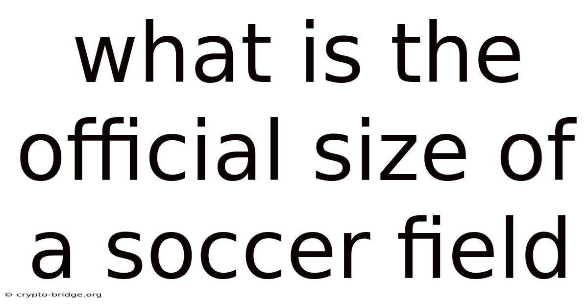What Is The Official Size Of A Soccer Field