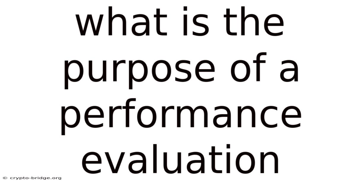 What Is The Purpose Of A Performance Evaluation