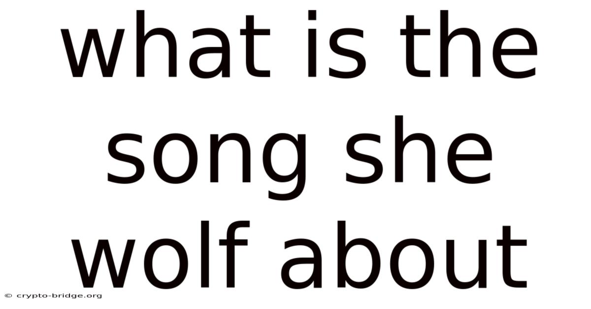 What Is The Song She Wolf About