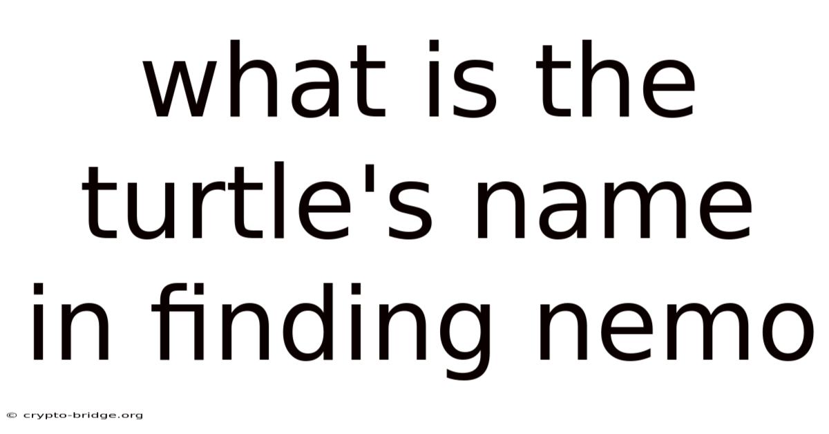 What Is The Turtle's Name In Finding Nemo