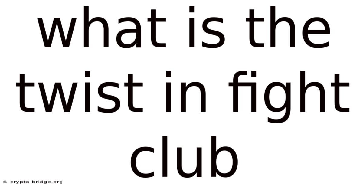 What Is The Twist In Fight Club
