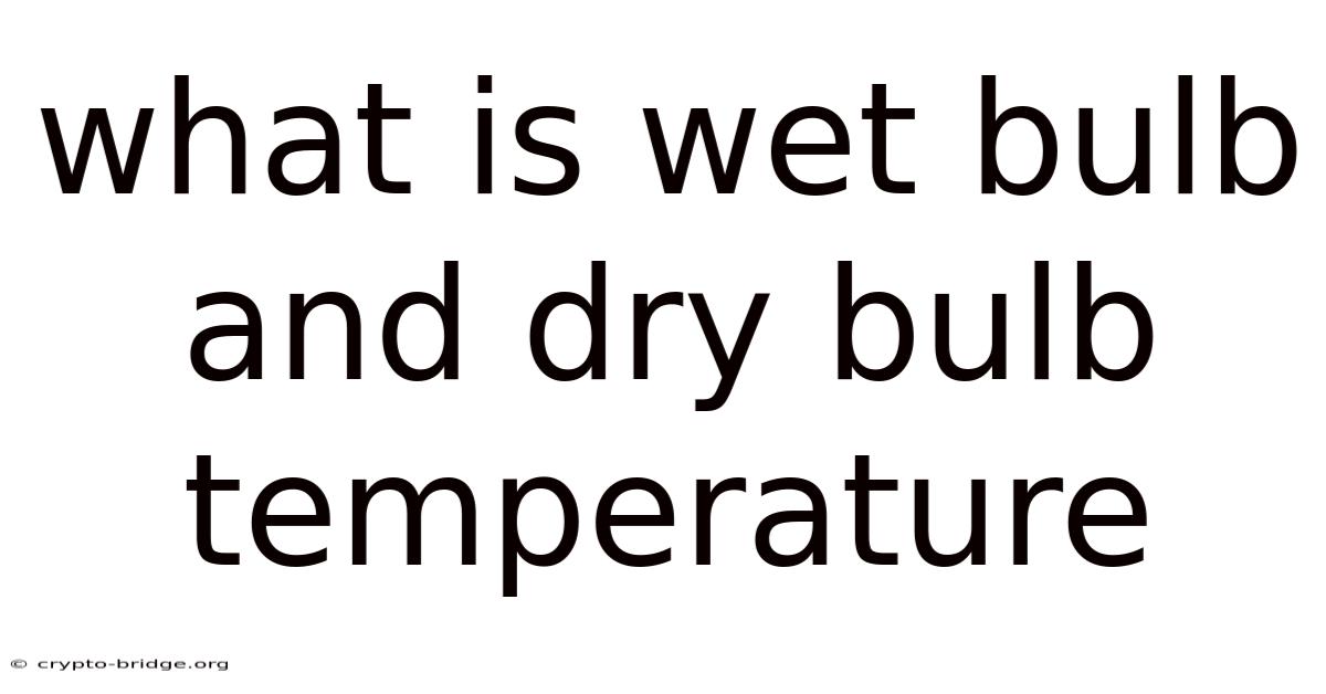 What Is Wet Bulb And Dry Bulb Temperature