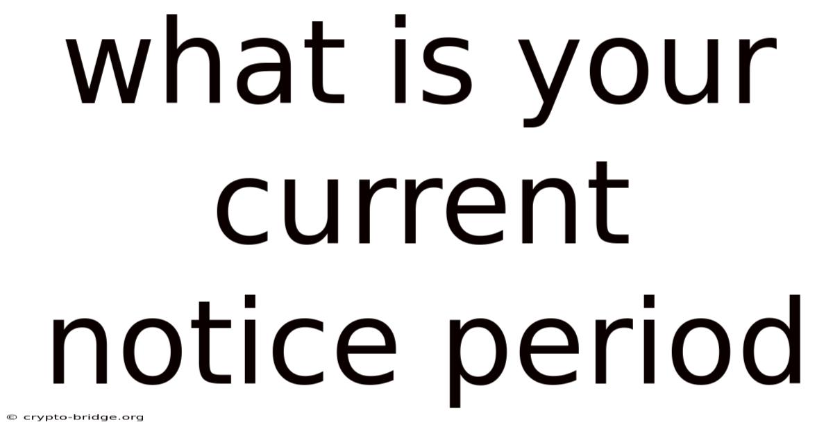What Is Your Current Notice Period