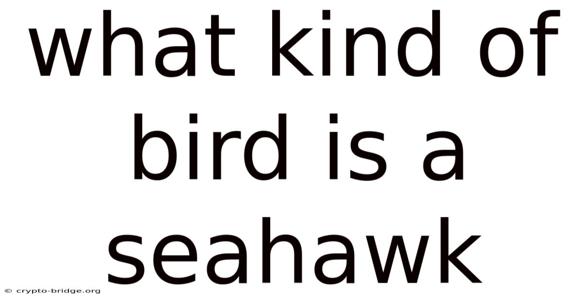 What Kind Of Bird Is A Seahawk