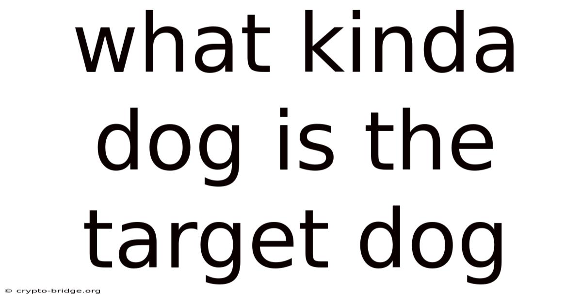 What Kinda Dog Is The Target Dog