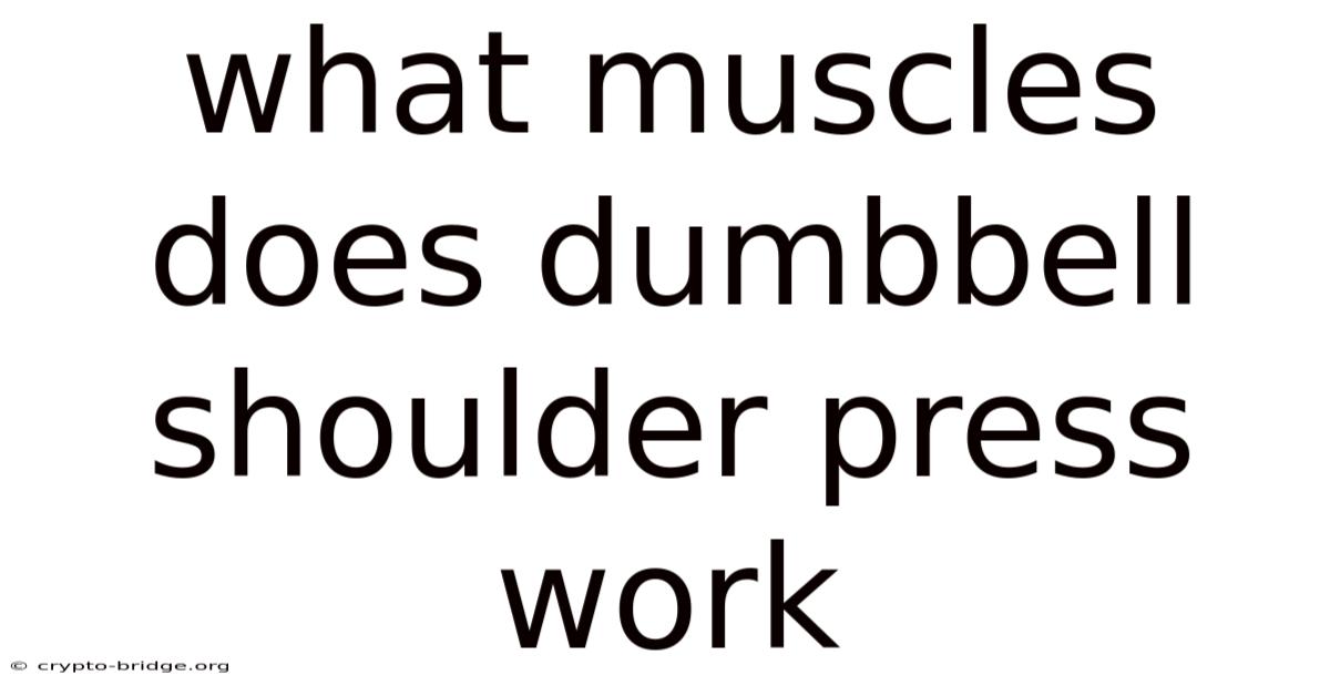 What Muscles Does Dumbbell Shoulder Press Work