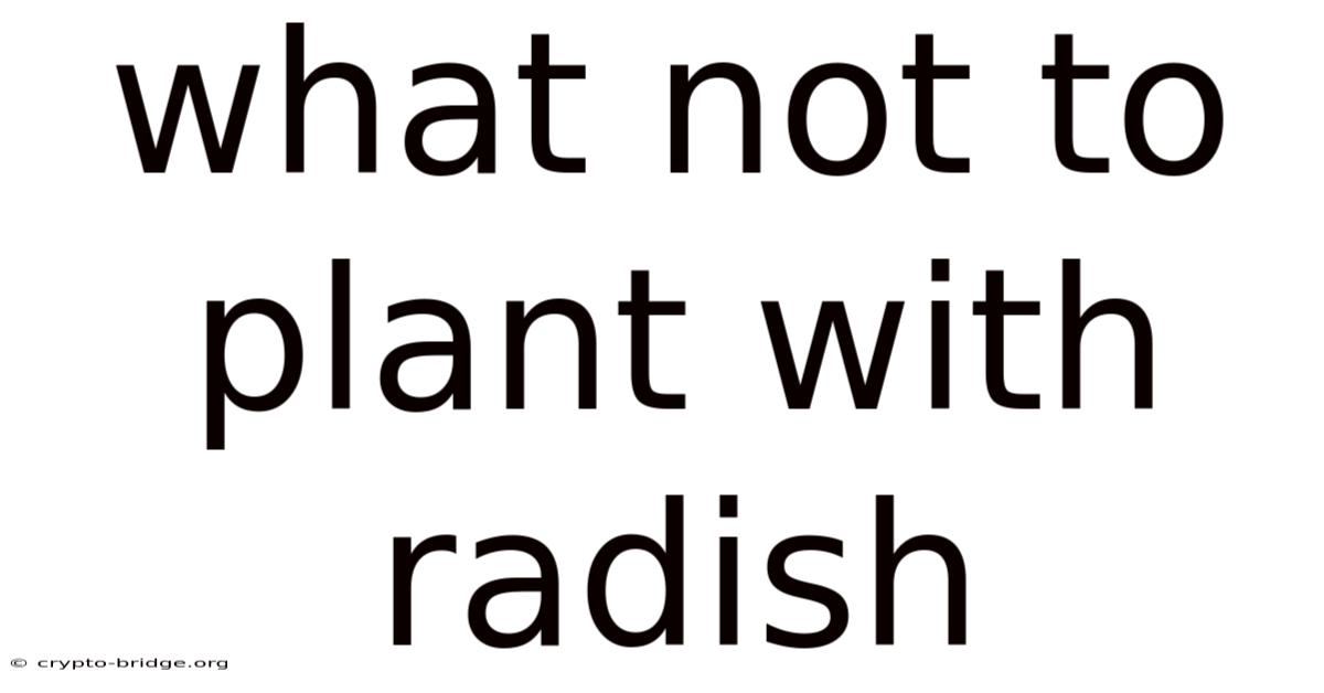 What Not To Plant With Radish
