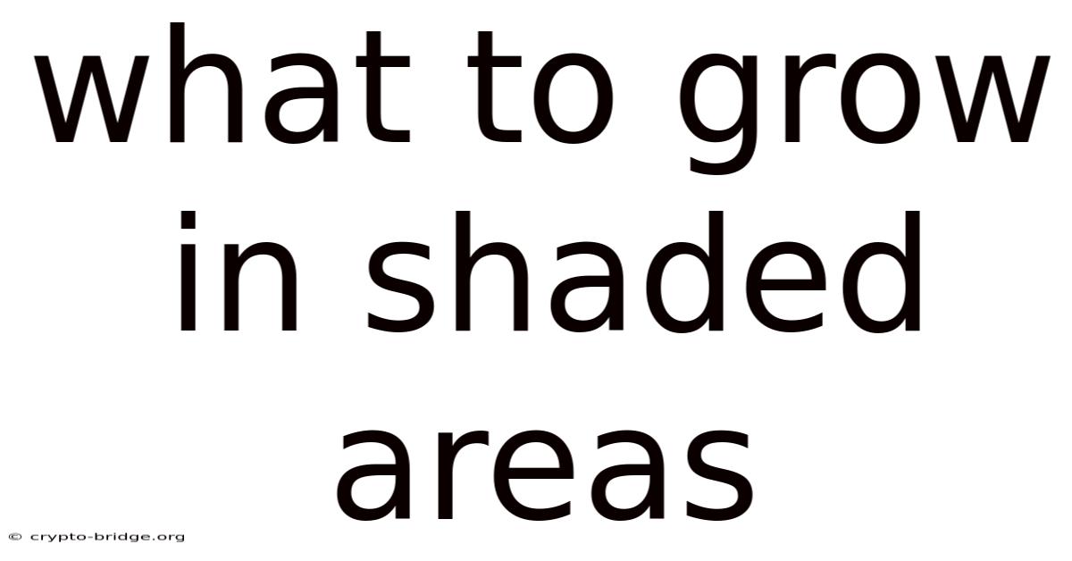 What To Grow In Shaded Areas