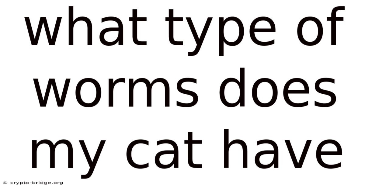 What Type Of Worms Does My Cat Have