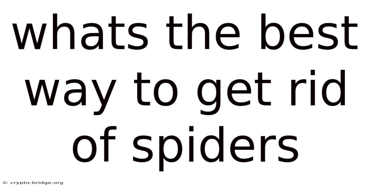 Whats The Best Way To Get Rid Of Spiders