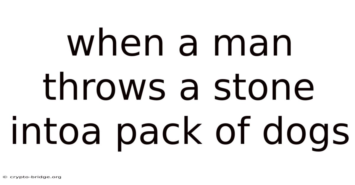 When A Man Throws A Stone Intoa Pack Of Dogs