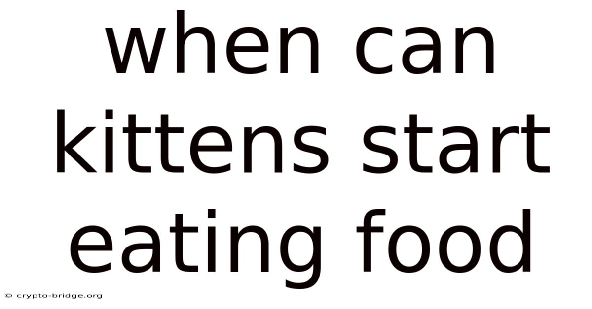 When Can Kittens Start Eating Food