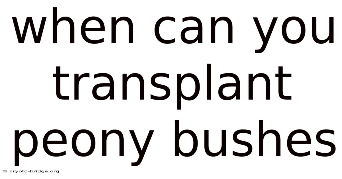 When Can You Transplant Peony Bushes