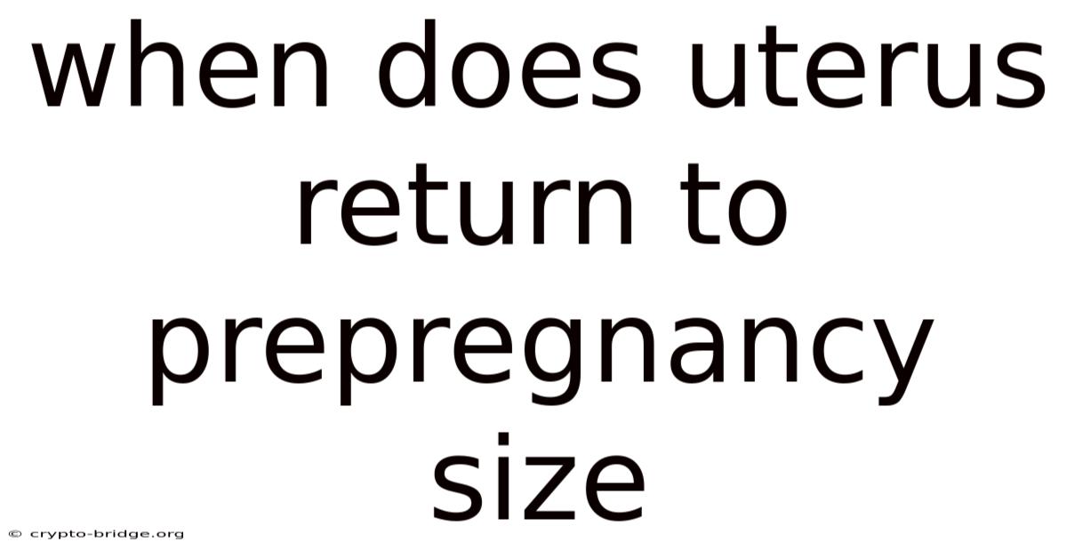 When Does Uterus Return To Prepregnancy Size