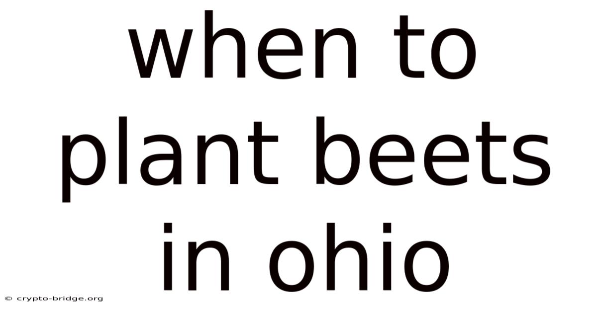 When To Plant Beets In Ohio