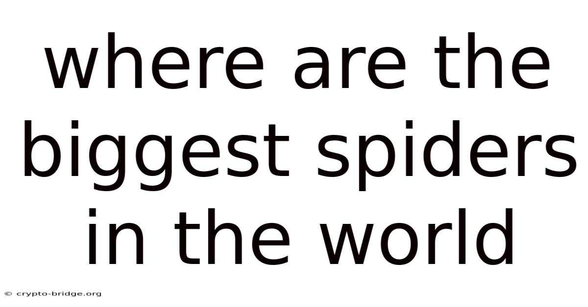 Where Are The Biggest Spiders In The World