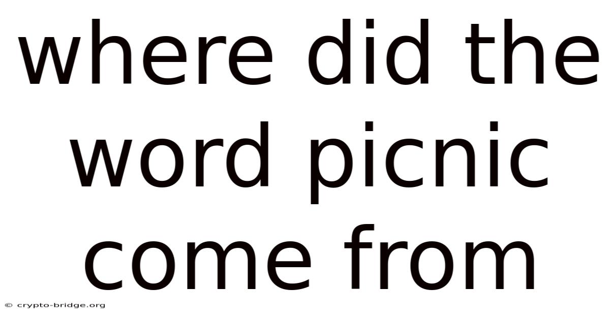 Where Did The Word Picnic Come From
