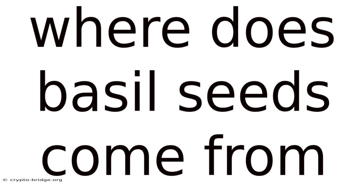 Where Does Basil Seeds Come From