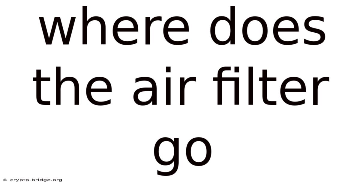 Where Does The Air Filter Go