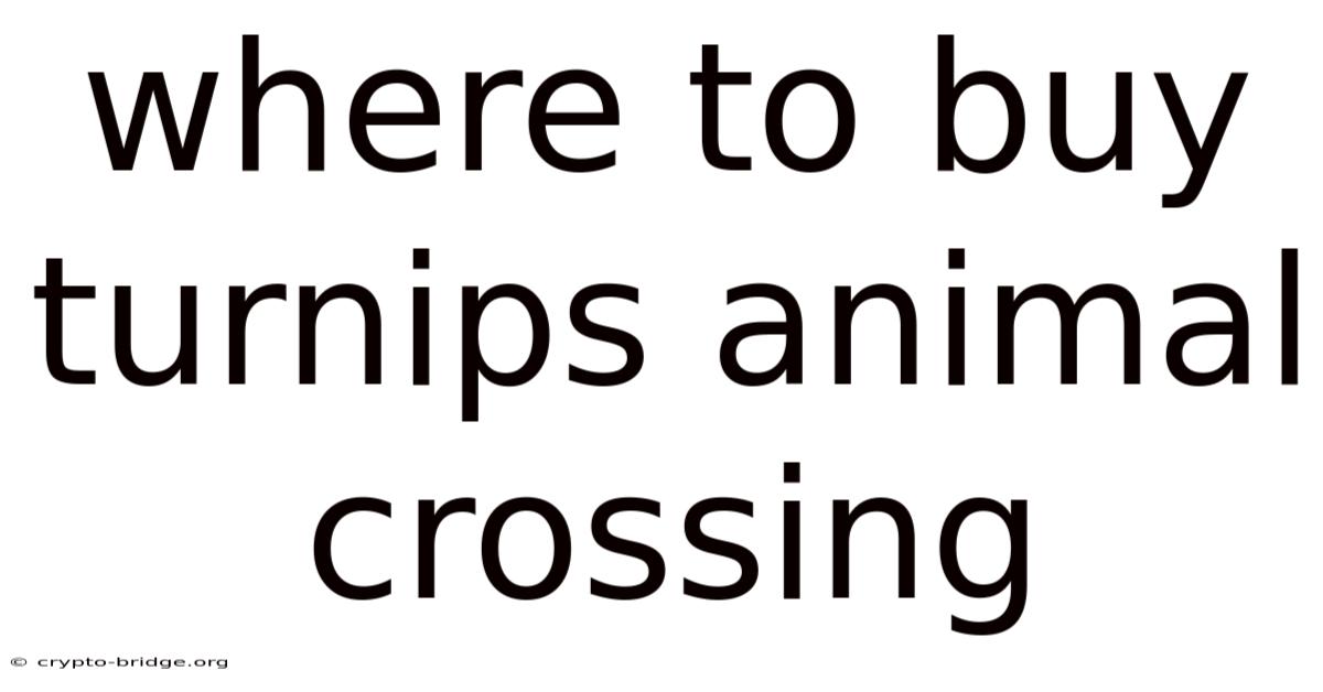 Where To Buy Turnips Animal Crossing