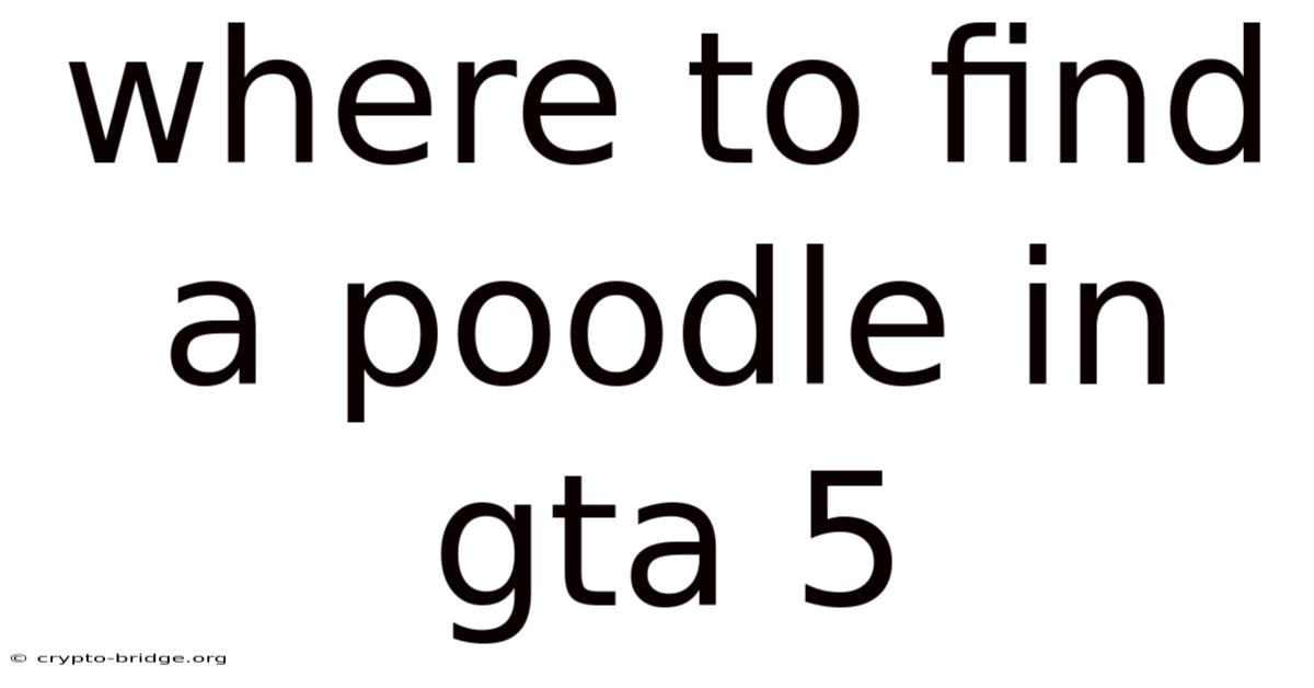 Where To Find A Poodle In Gta 5