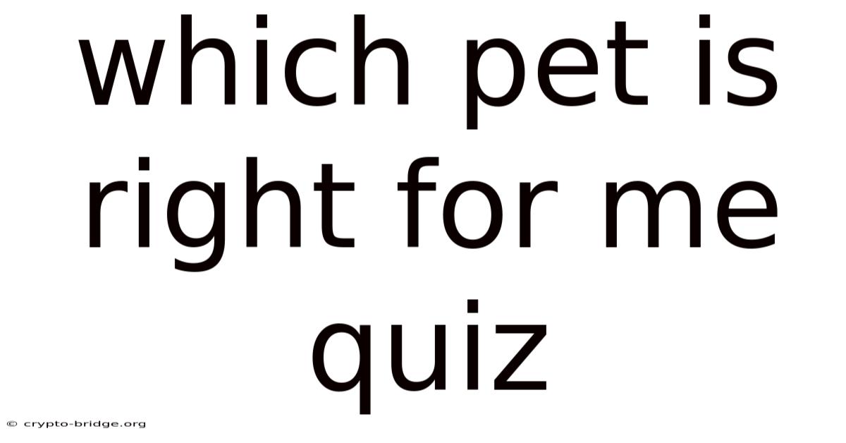 Which Pet Is Right For Me Quiz
