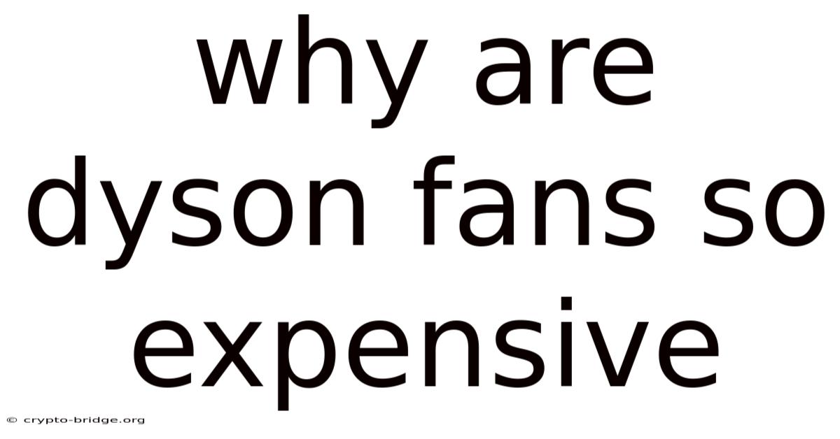 Why Are Dyson Fans So Expensive