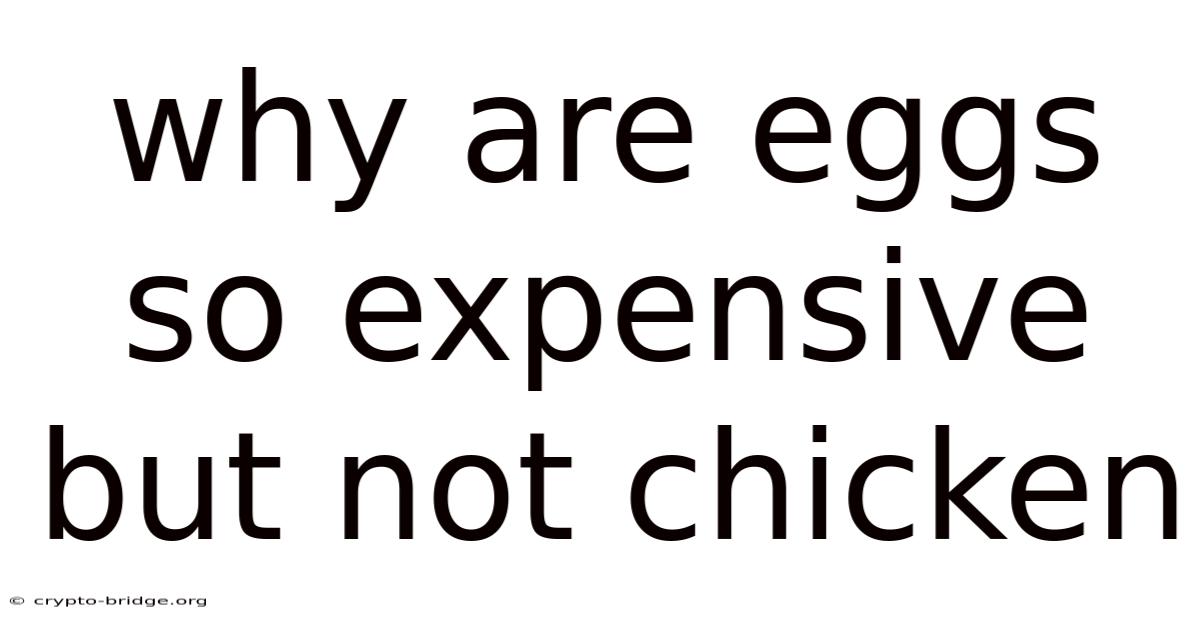 Why Are Eggs So Expensive But Not Chicken
