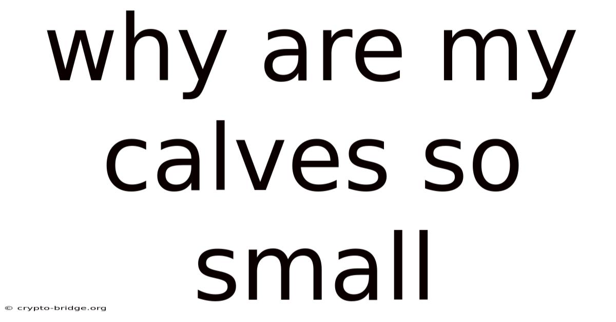 Why Are My Calves So Small