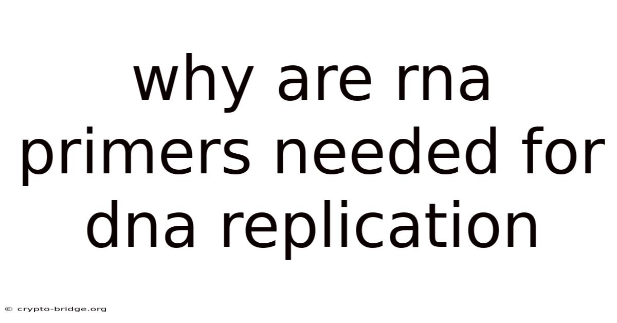 Why Are Rna Primers Needed For Dna Replication